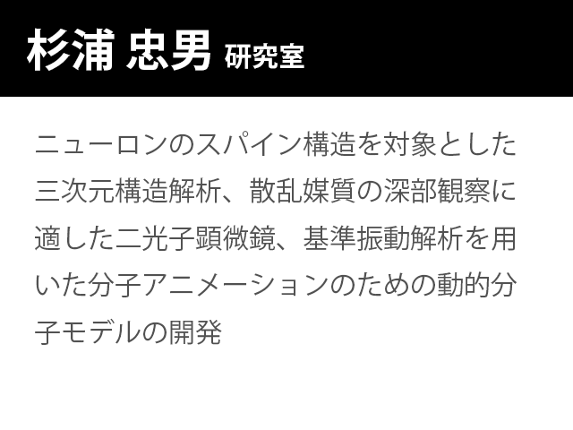 崇城大学情報学部 杉浦 忠男 研究室